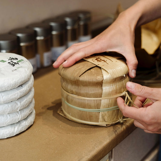 Einführung in fermentierten Tee und Pu-Erh