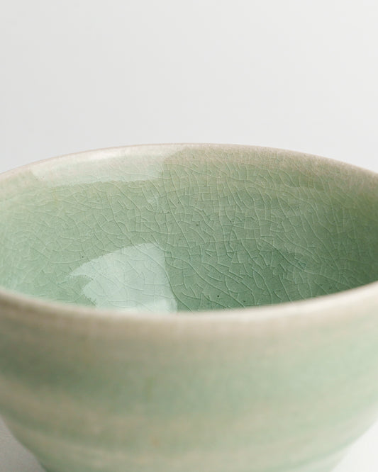 Grüner Chawan Shigaraki