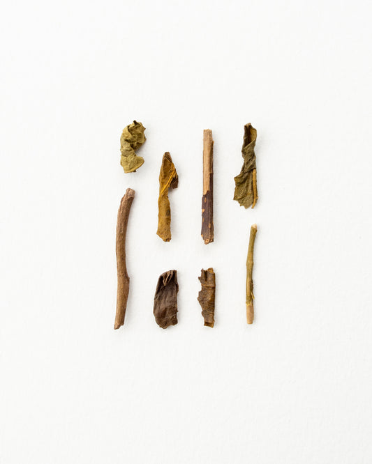 Hōjicha - Japanese Teabag - roasted green tea