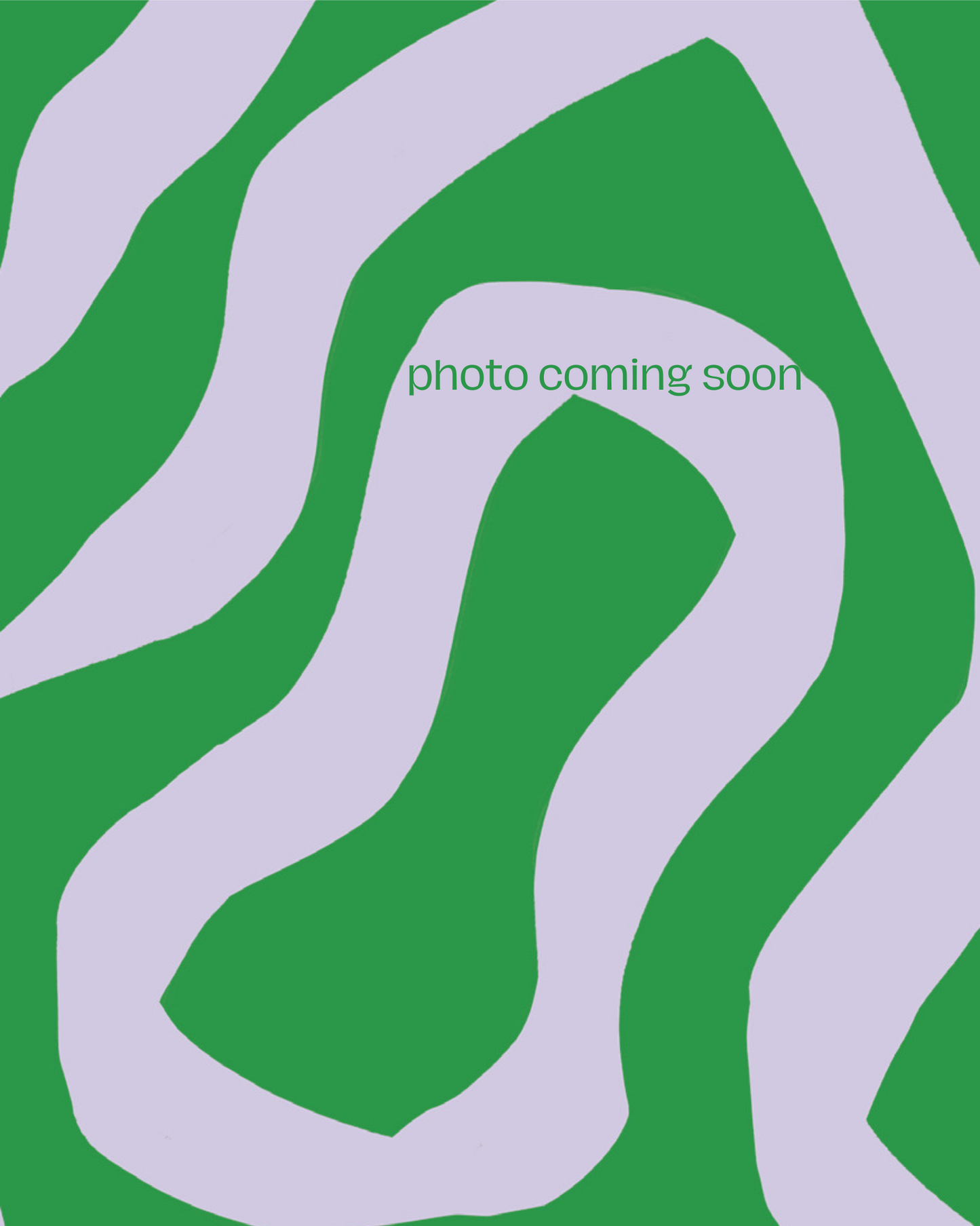 Kamairicha - Japanese Teabag - green tea