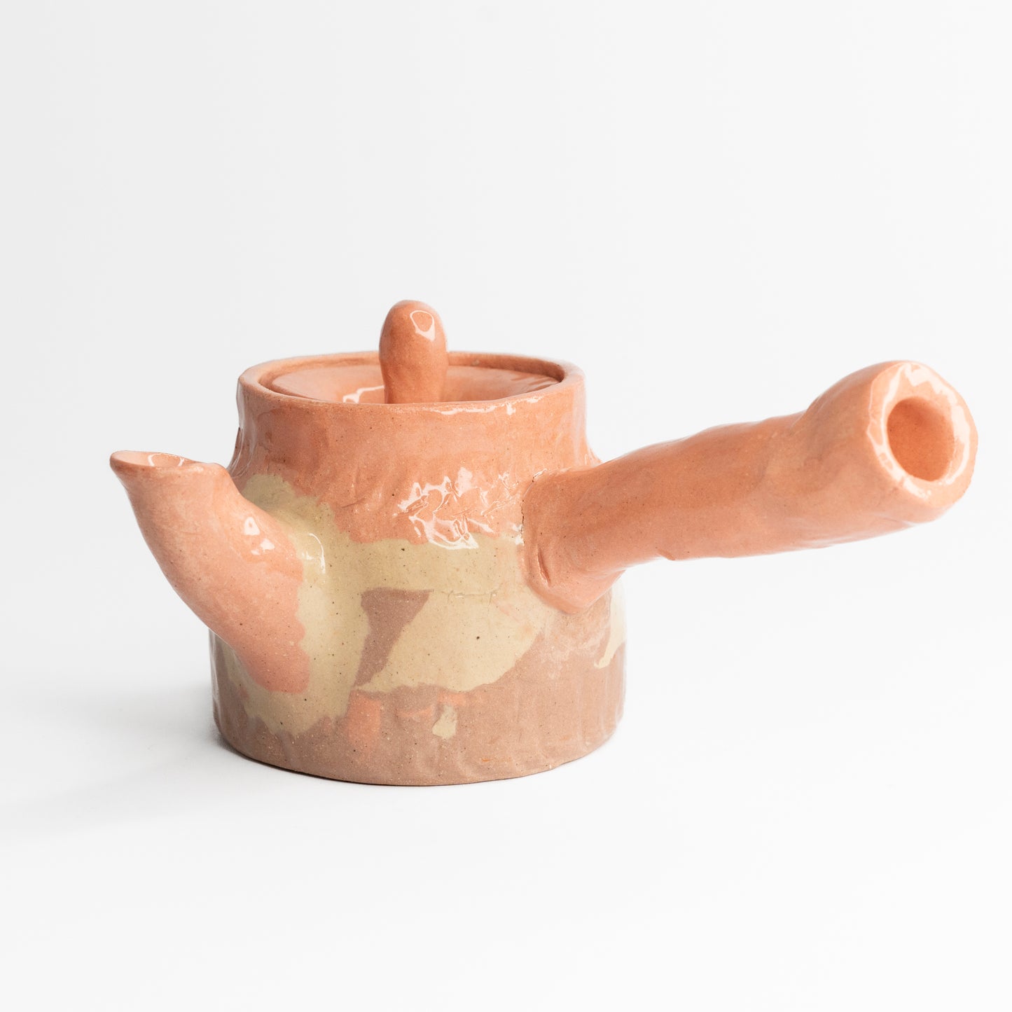 Mixed Coloured Clay Kyusu Teapot