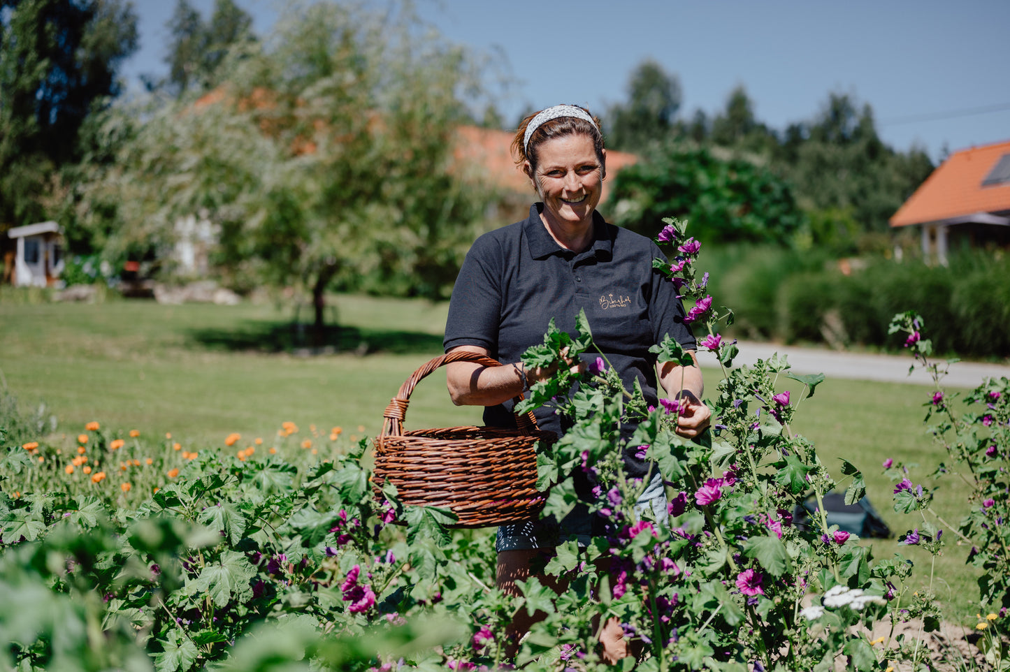 Arrive - Kräutermischung