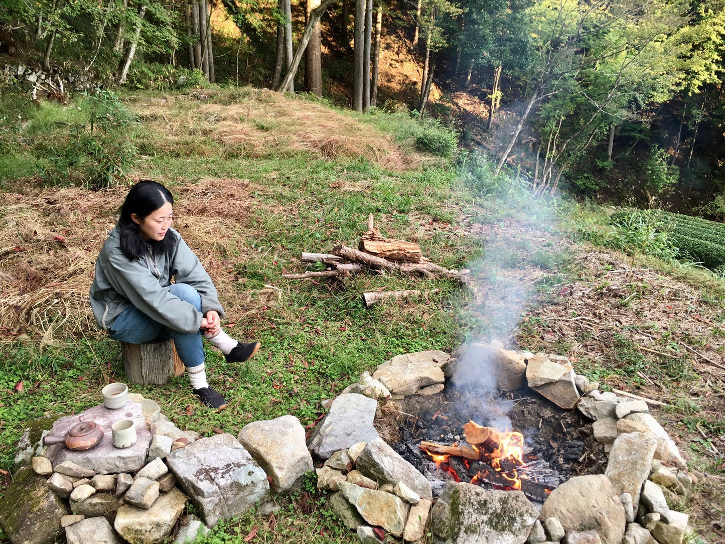 Yamadori Spring Hōjicha