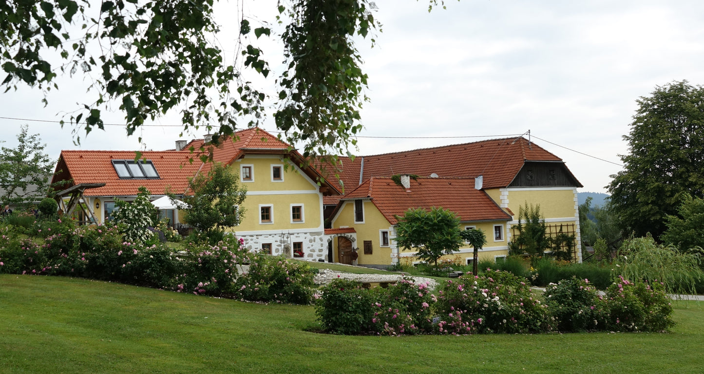 Arrive - Kräutermischung