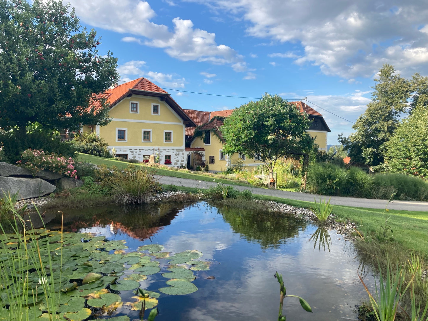 Reset - Kräutermischung