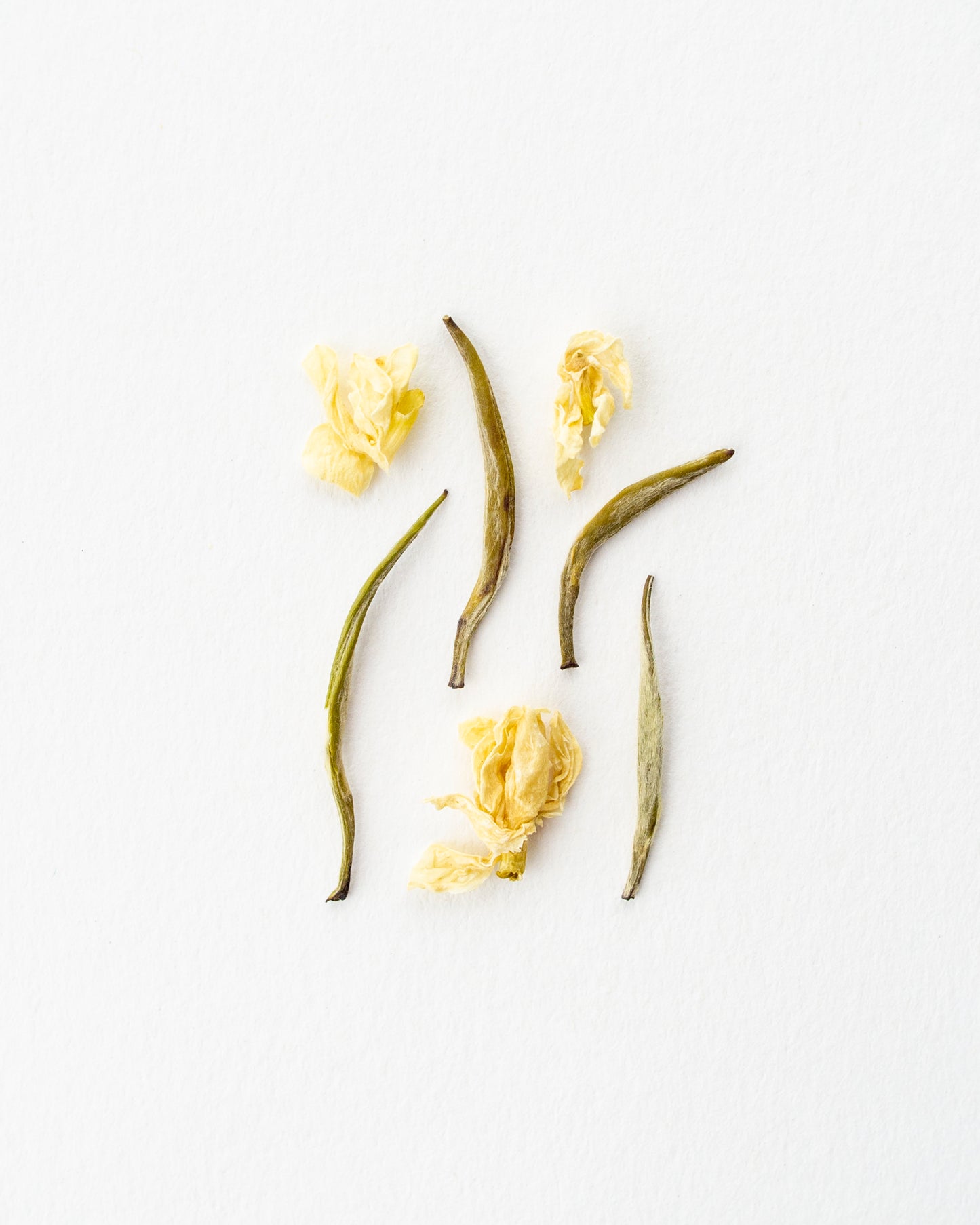 Falling Snow Jasmine - Weißer Tee