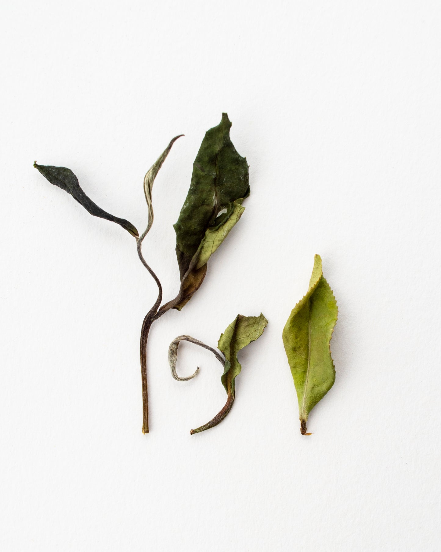 Mid Summer - White Tea