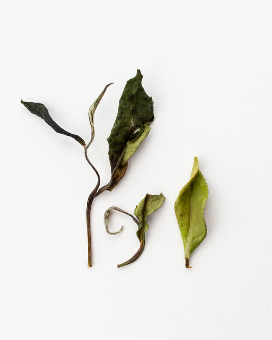 Mid Summer - Weißer Tee