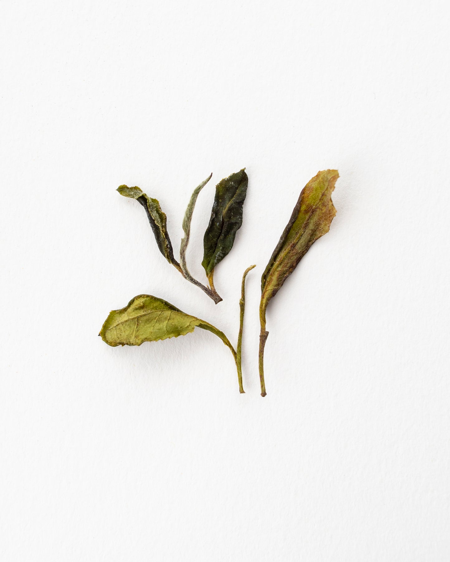 Georgian Wild Spring - White Tea