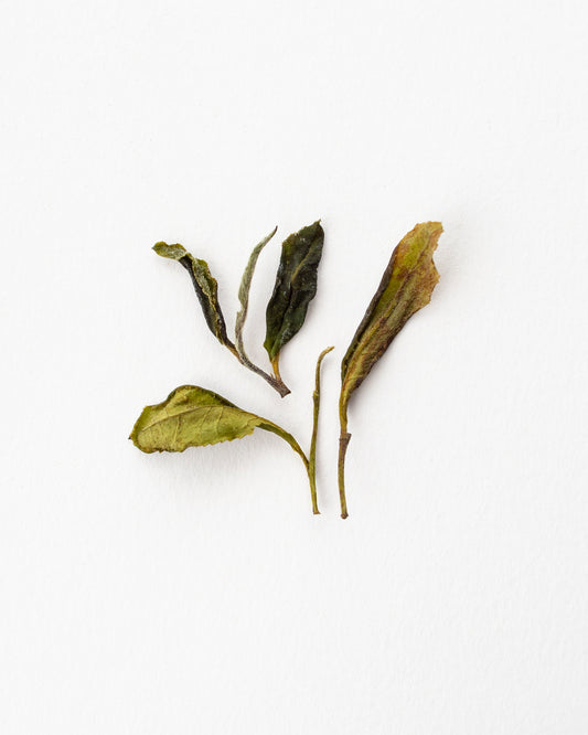 Georgian Wild Spring - Weißer Tee