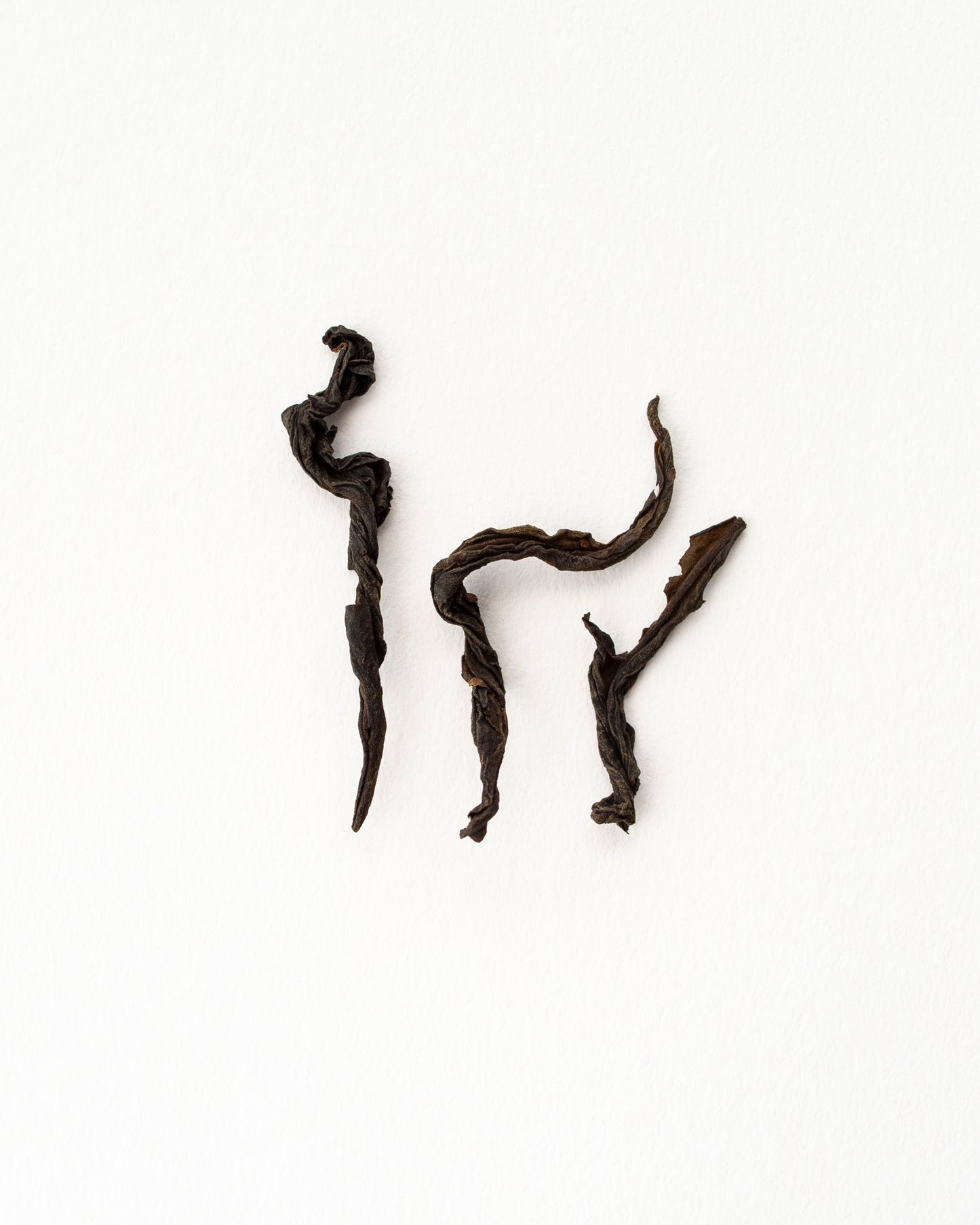 Lapsang Souchong Unsmoked - Schwarzer Tee