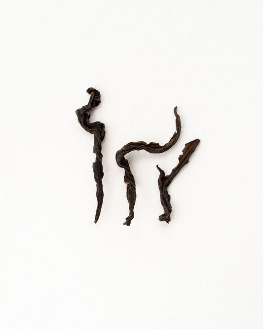 Lapsang Souchong Unsmoked - Schwarzer Tee