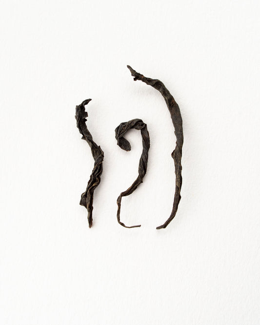 Lapsang Souchong - Schwarzer Tee