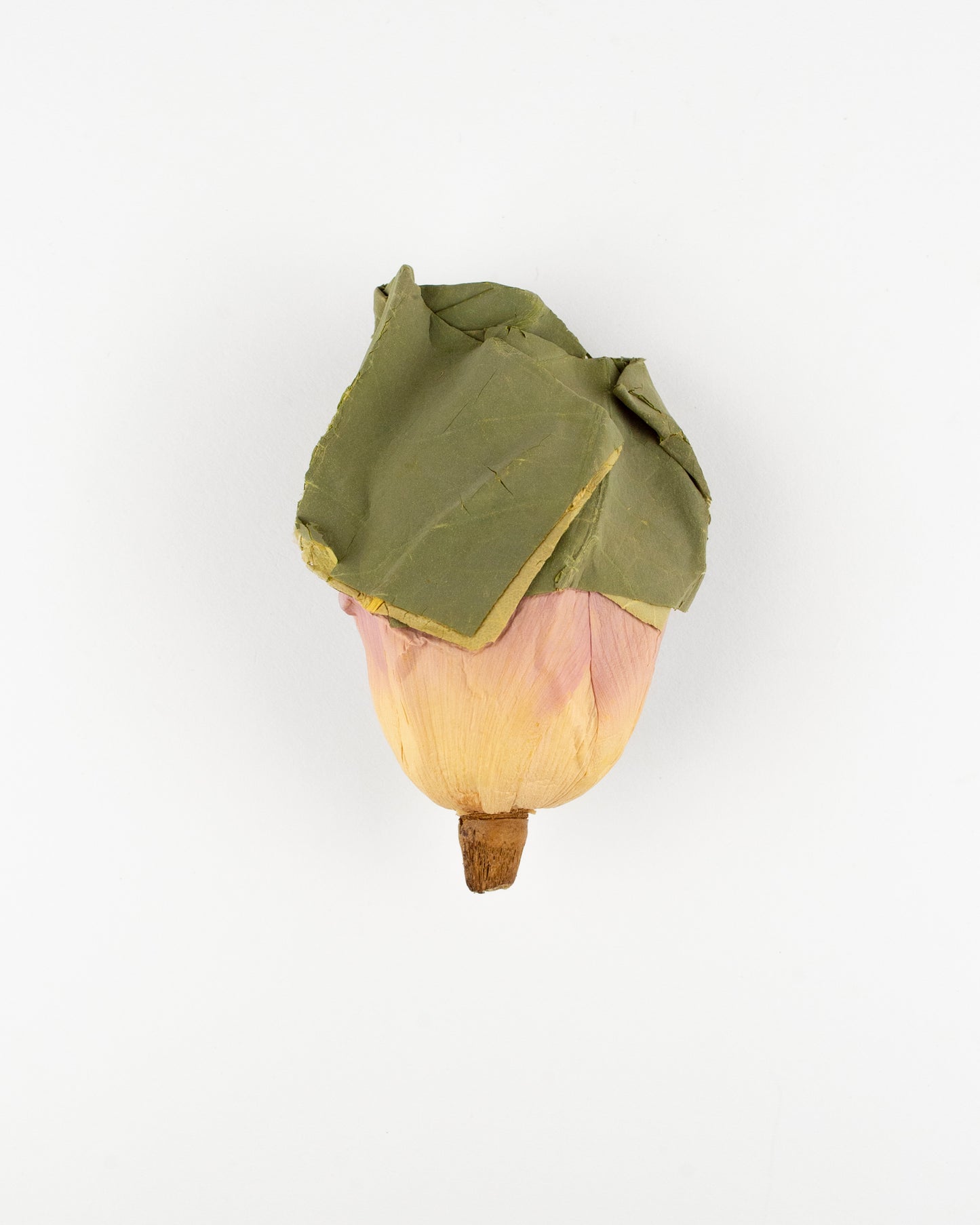 Lotus Blossom Thái Nguyên - Green Tea