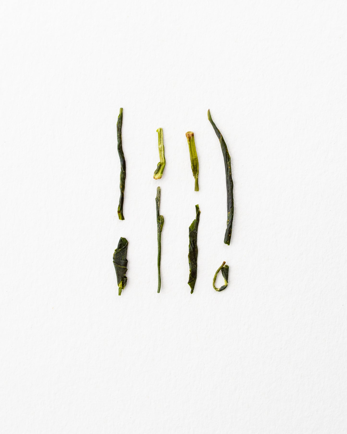 Sencha Ikenowaki - Grüner Tee