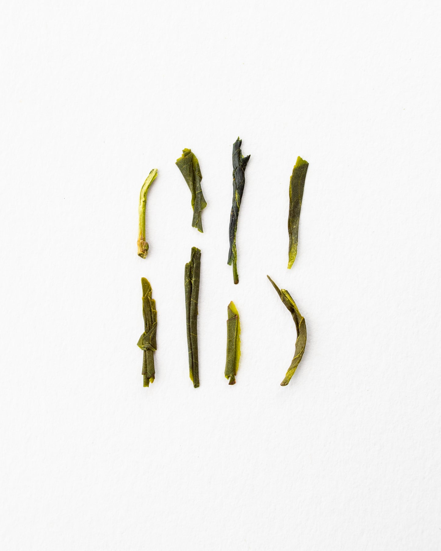 Sencha Suginomoto - Grüner Tee