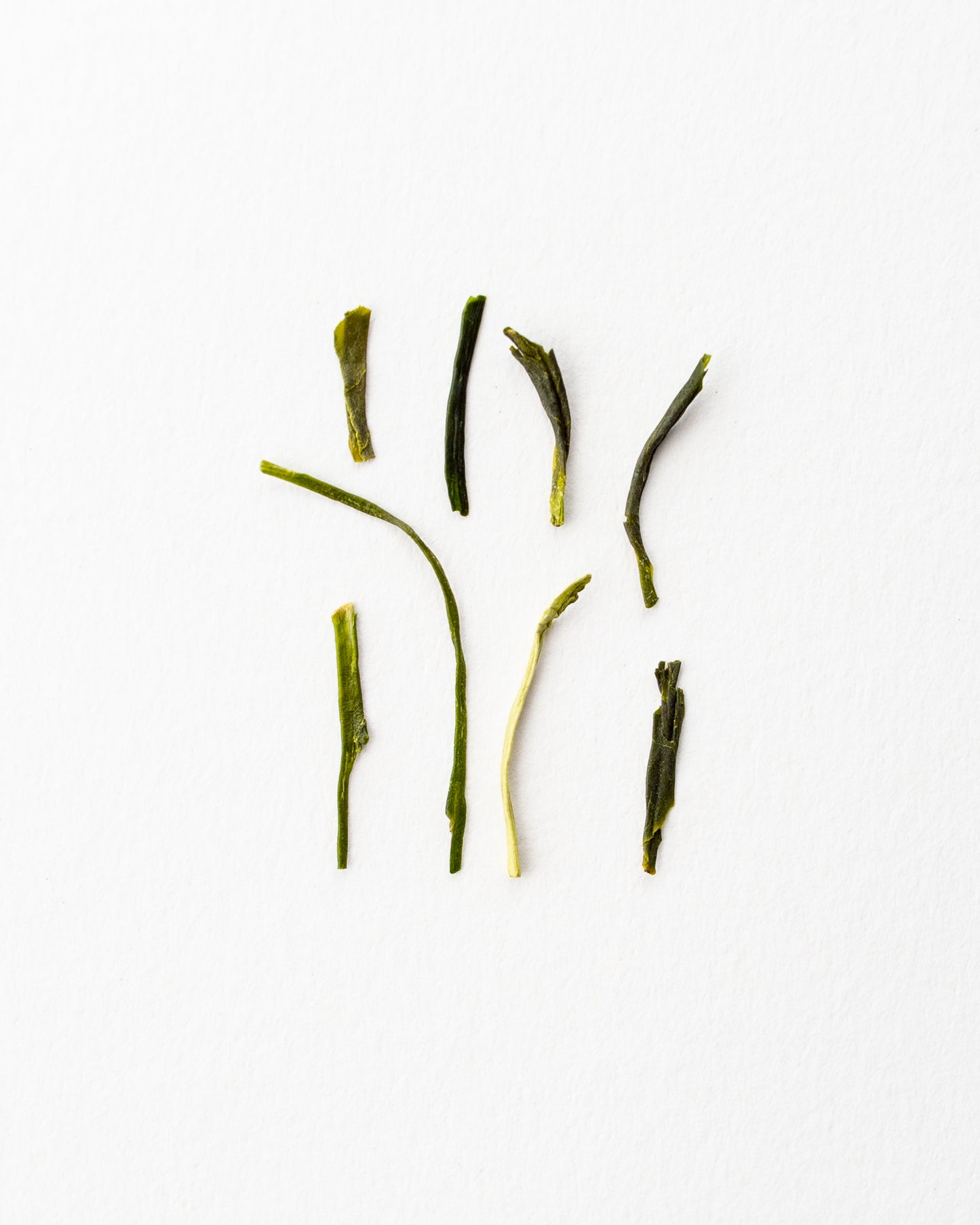 Sencha Tōgenkyō – Grüner Tee