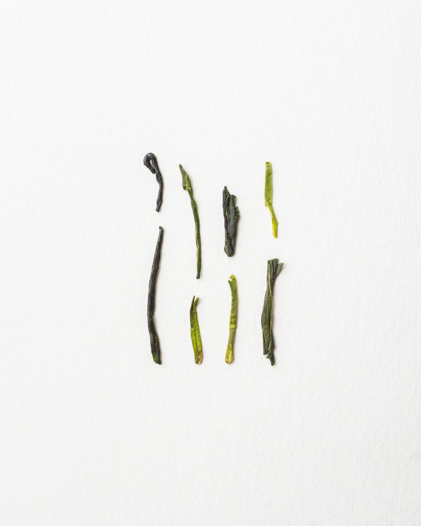 Soo Fukamushi Kabusecha