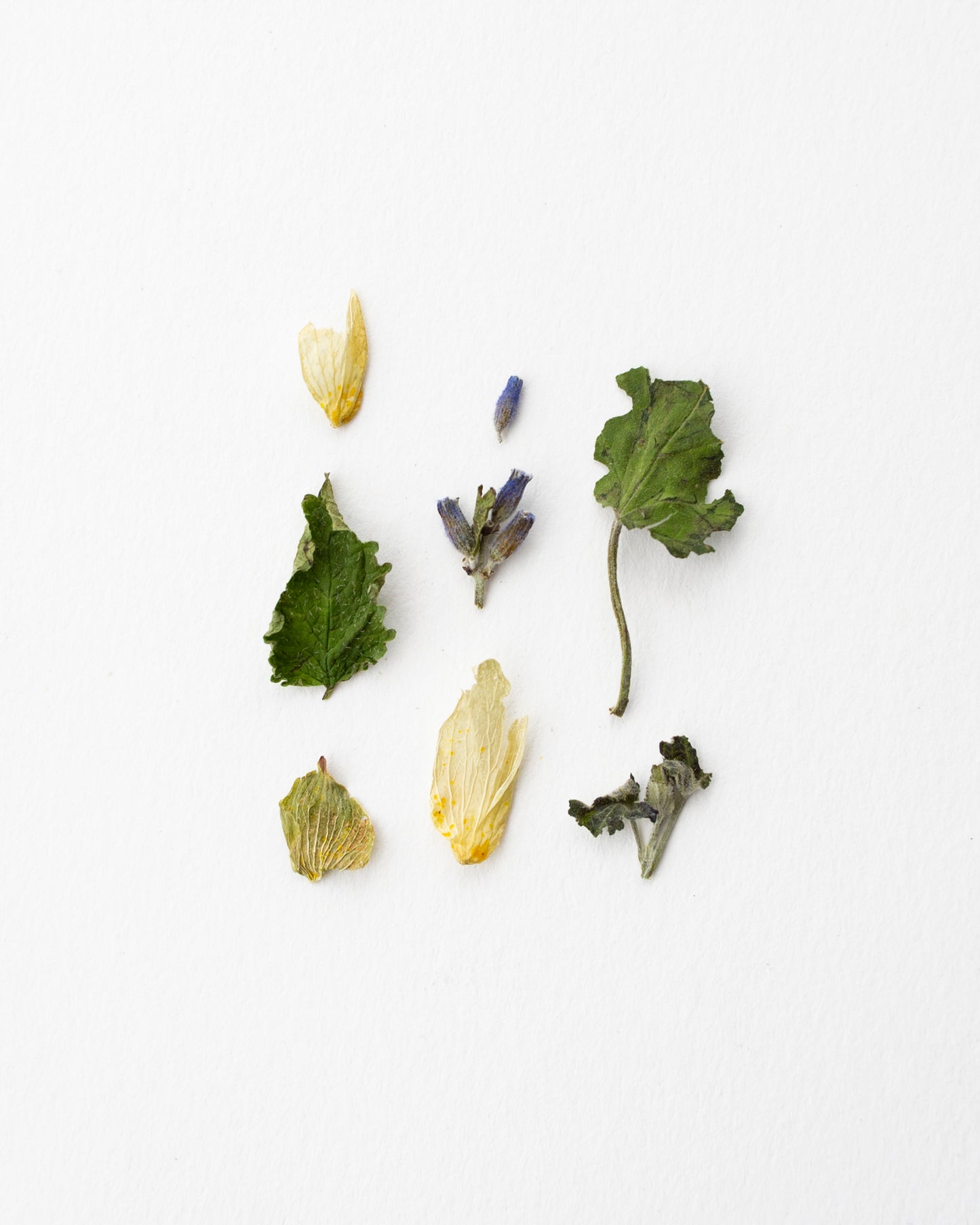 Unwind - Kräutermischung