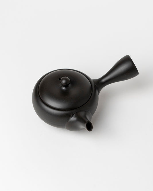 Japanische Kyusu-Teekanne (100 ml)