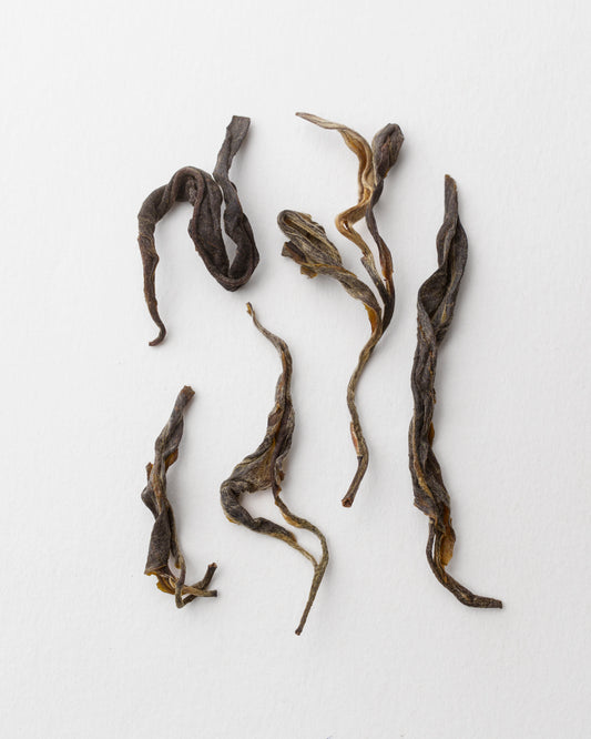 2025 Akha Garden Sheng  - Pu´er Tea